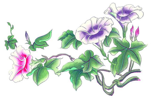 ����֮��