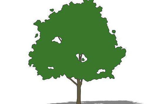 ���꣬ˮ�������