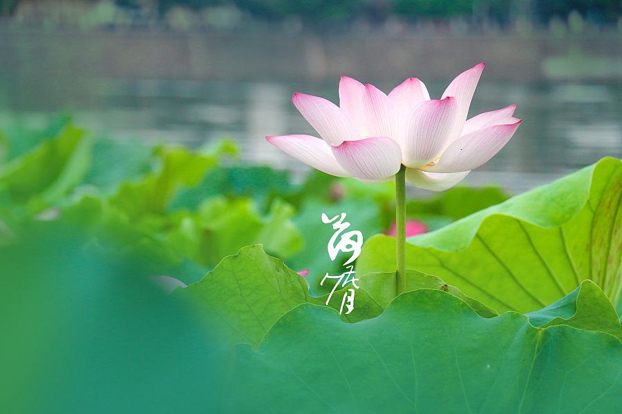 ���£� ���ϵ����֣���һ�ף�