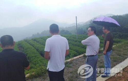 ��Ķ��԰��������ʱ����������������ѧ����������