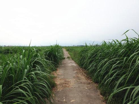 ���������� ������ȫ��