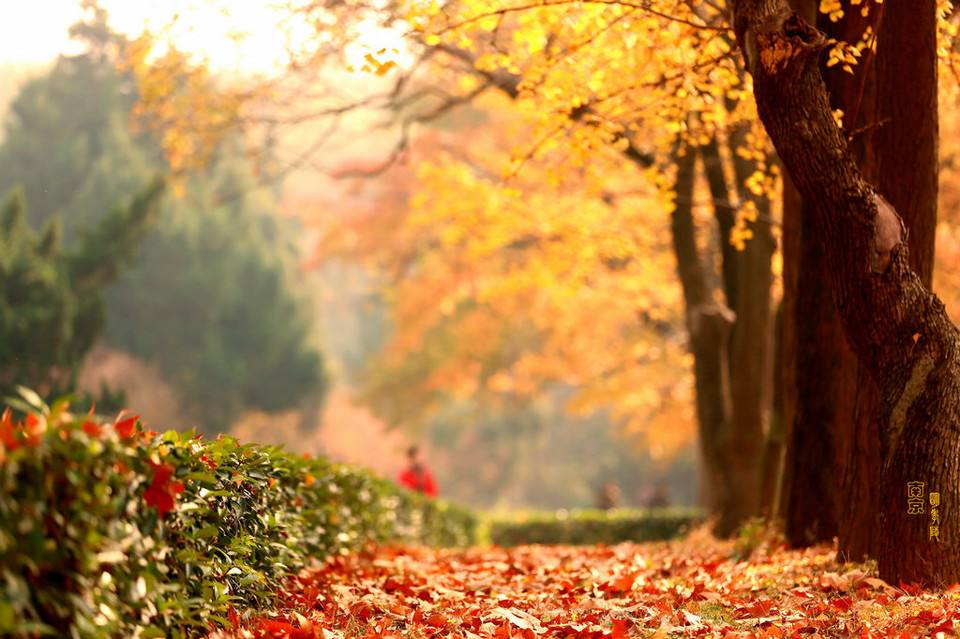 ������˼(��һ��)