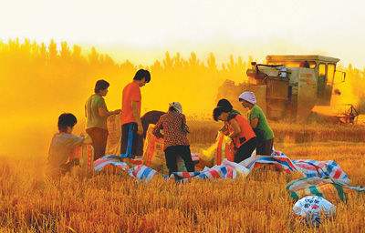 ��ƽ�����¡���ʮ�꣬ũ�����е�����ı�