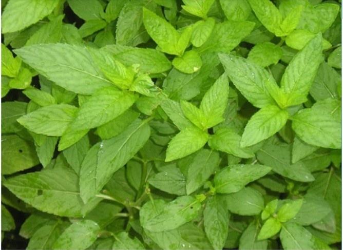 ����֮��