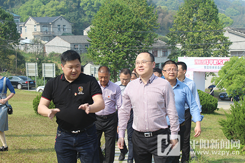 董智武调研村社规模优化调整工作