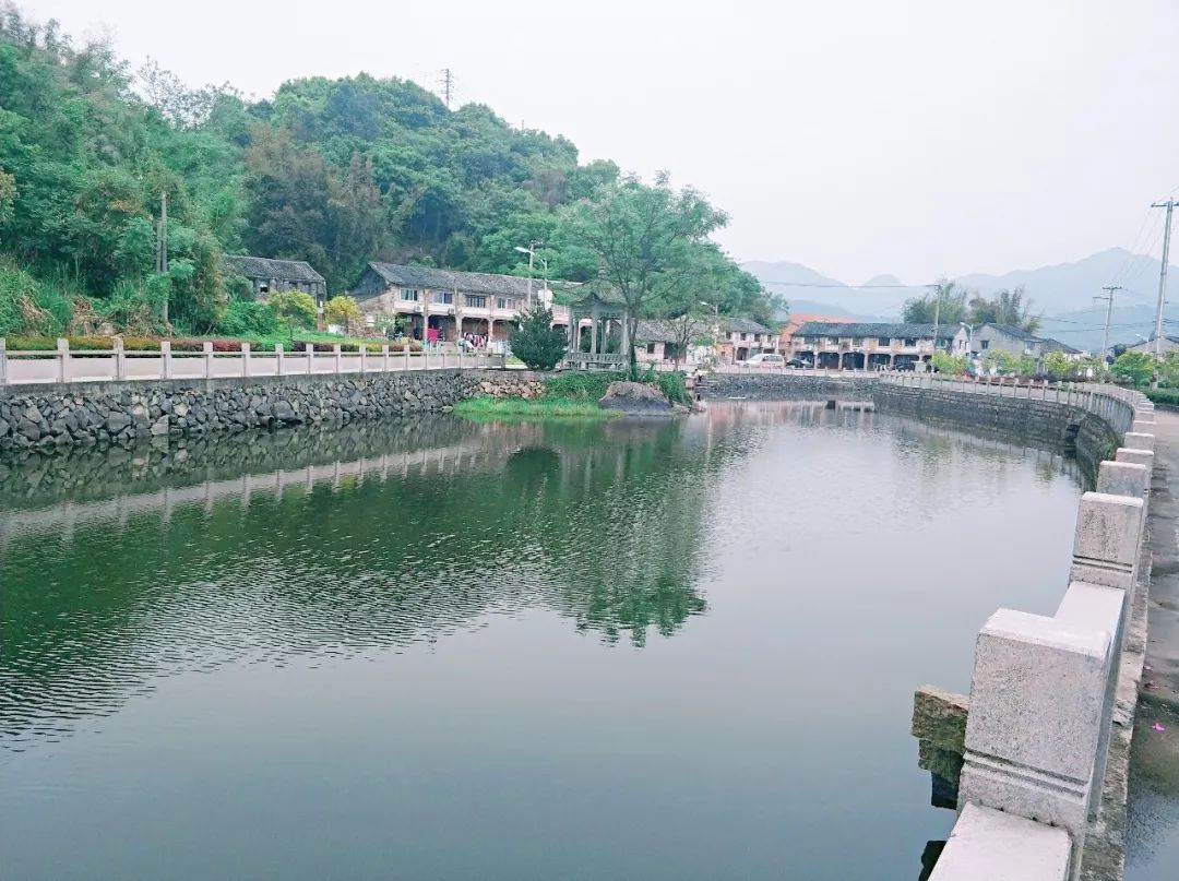 ����������Ŀ����������� �����������»���