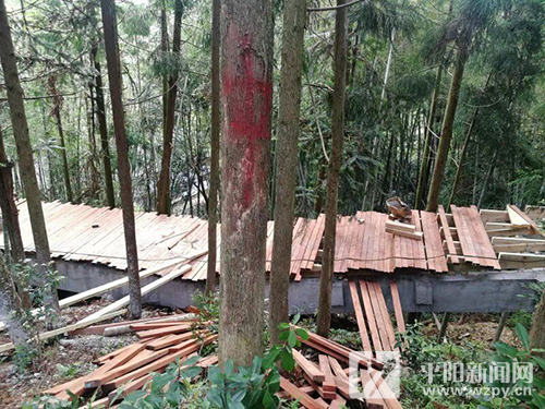 ˮͷ���������Ȳ��ƽ�С���򻷾��ۺ�����