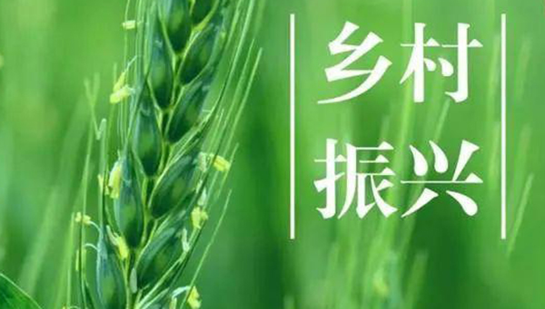 ˮͷ�����ִ�����ƶ��������