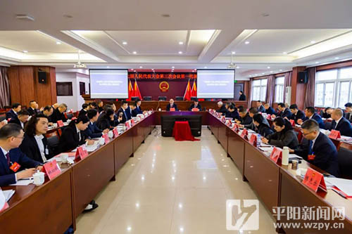孟晓斌参加第一、第三代表团审议