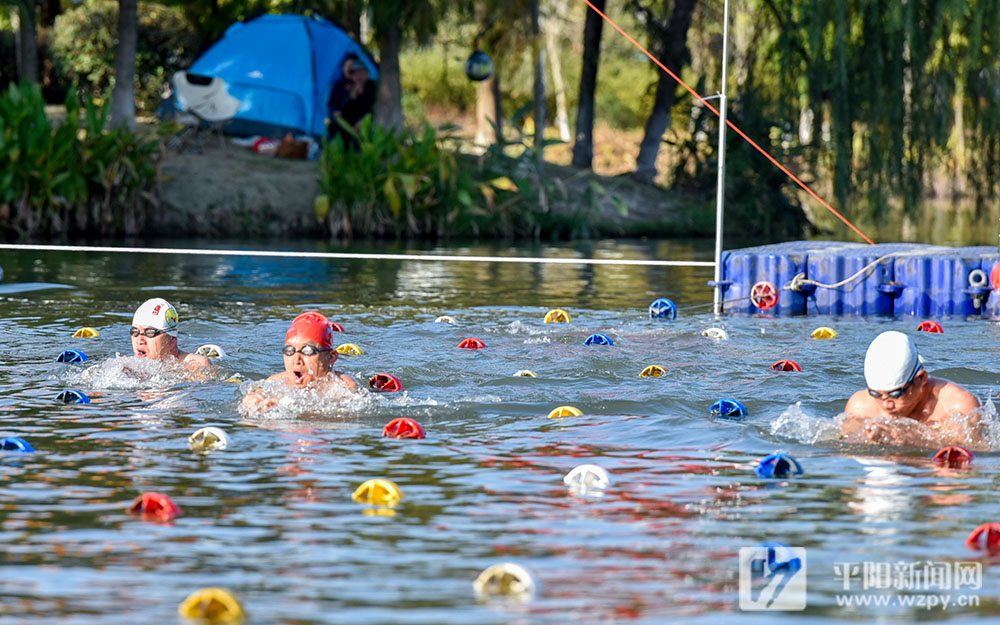 浙闽泳者逐浪寒冬