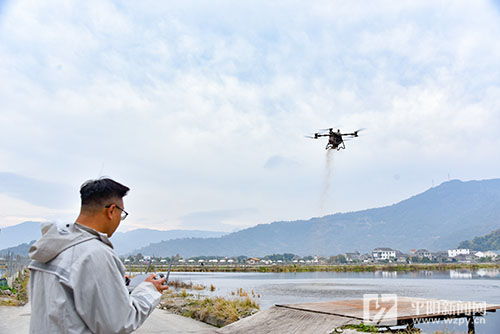 �Ƽ��������� ��Ϻ������æ