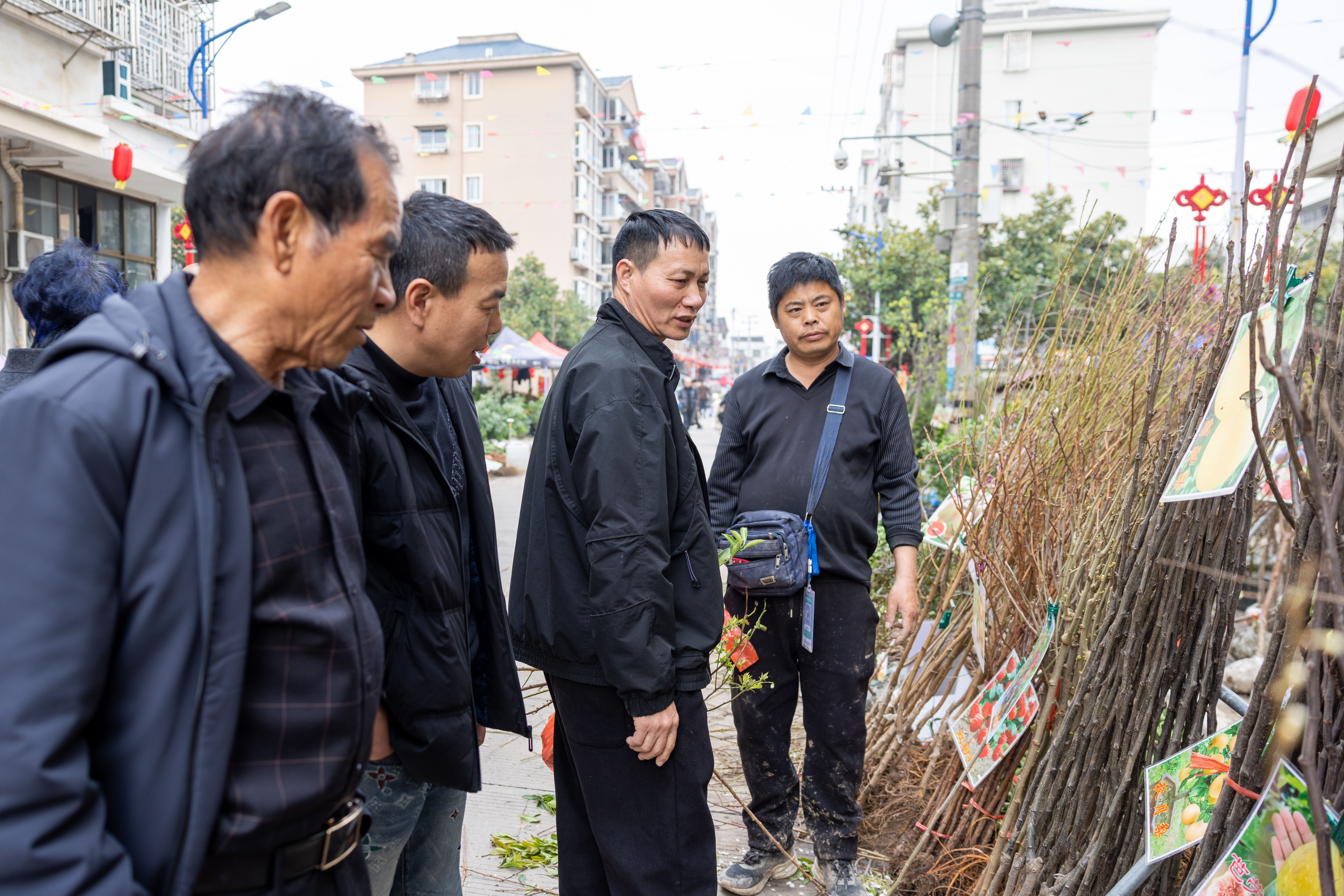 ���ڴ�����ľ�� ��ľ�г���������