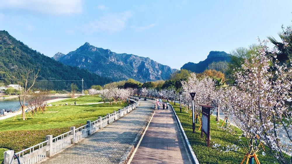 ����ӣ������Ũ