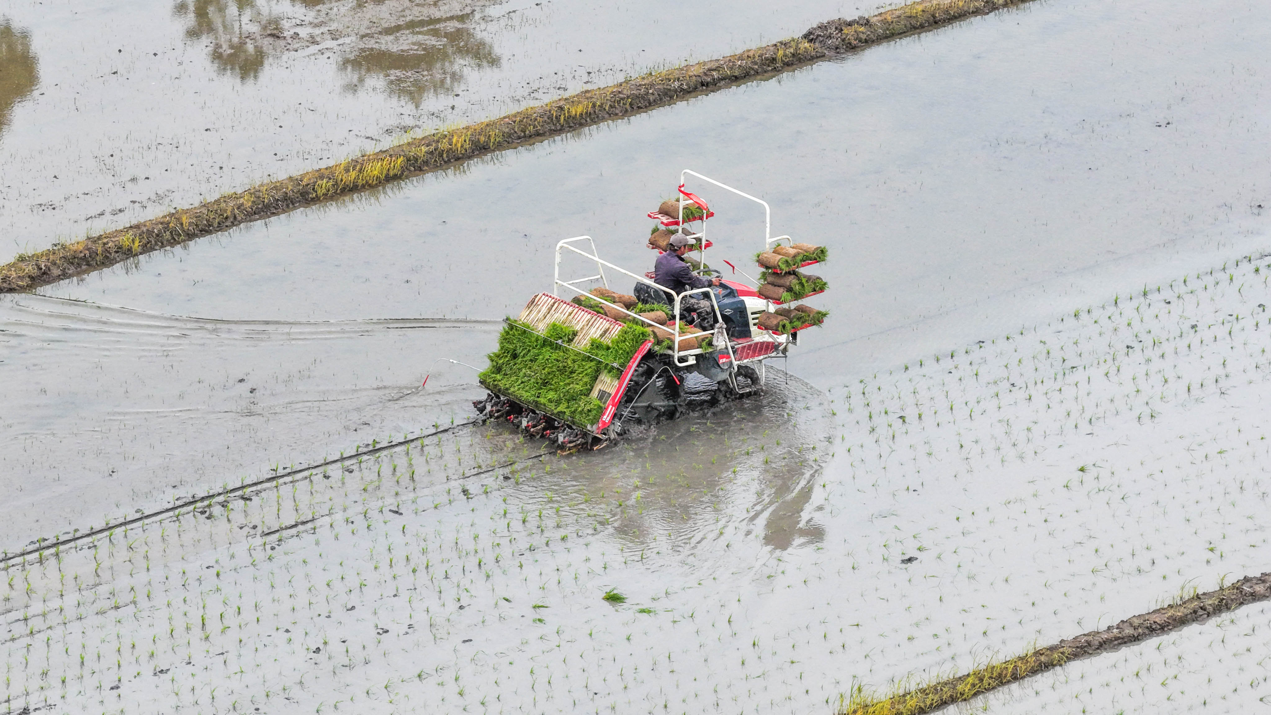 ��������ͼ ����������